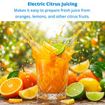 Juicer (1L)