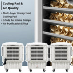 Air Cooler (50L)