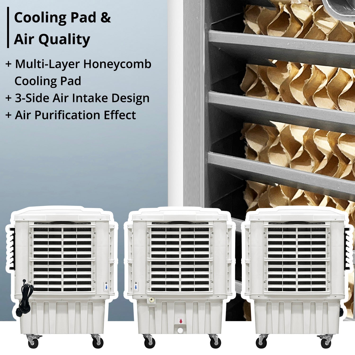 Air Cooler (50L)
