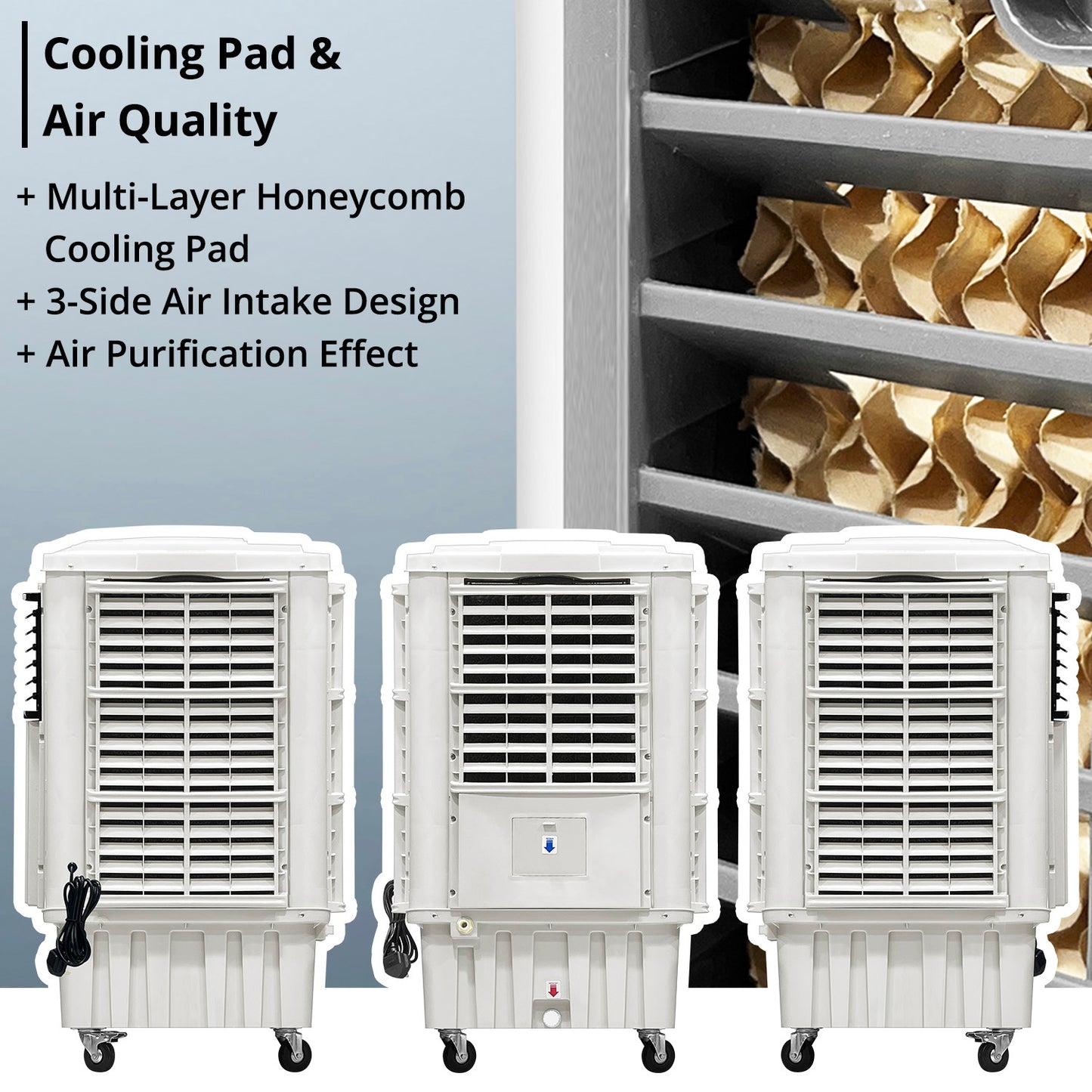 Air Cooler (50L)