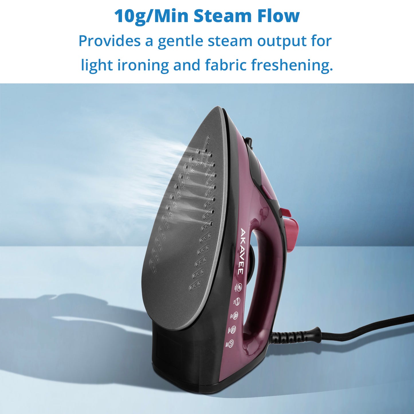 Steam Iron